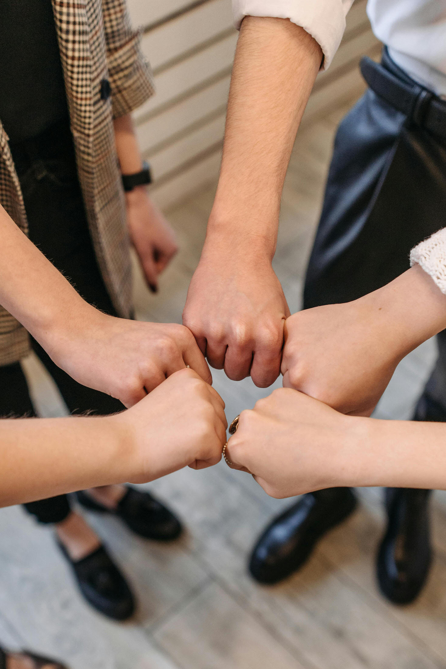 Warsztaty Terapii Zajęciowej w Starych Siołkowicach